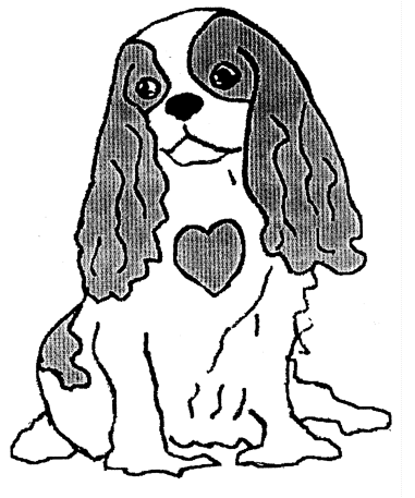 Mitral Valve Disease and the Cavalier King Charles Spaniel