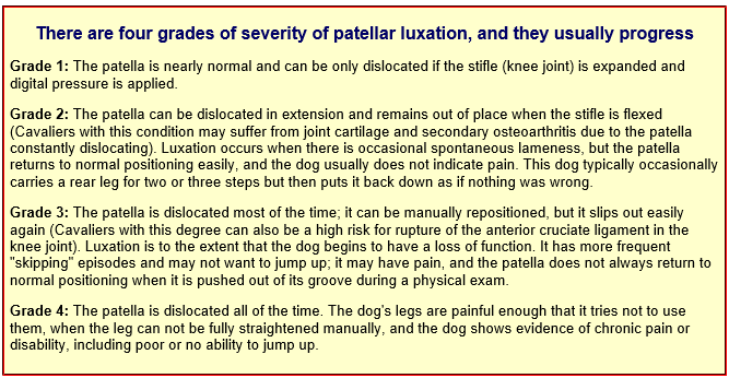 Grades of Patellar Luxation