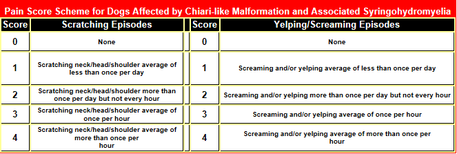 Skerritt/Motta Pain Score Scheme