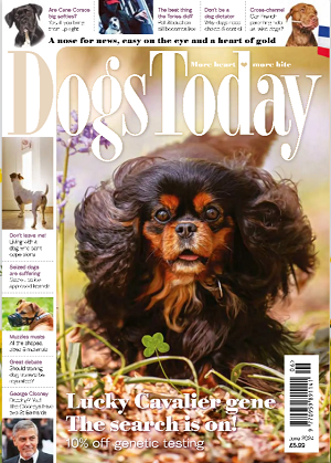 Dogs Today - June 2024
