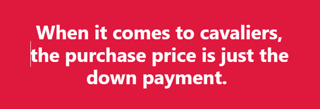 Downpayment
