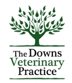 Downs Veterinary Practice, Bristol, UK