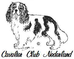 Cavalier Club Nederland