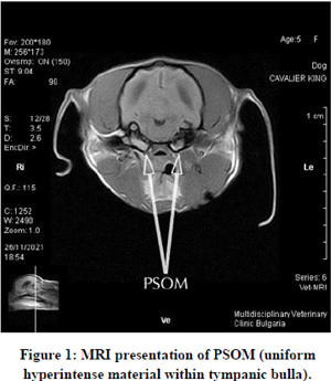 PSOM - MRI